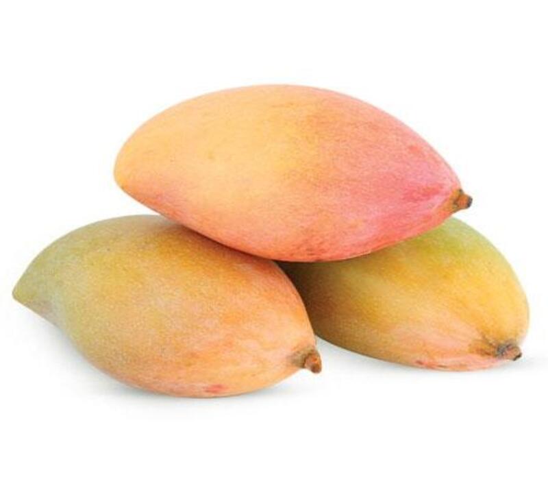 Totapuri Mango MANGONAD