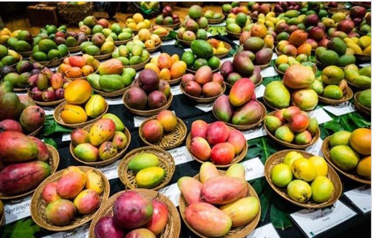Mangoes Are The Best.!