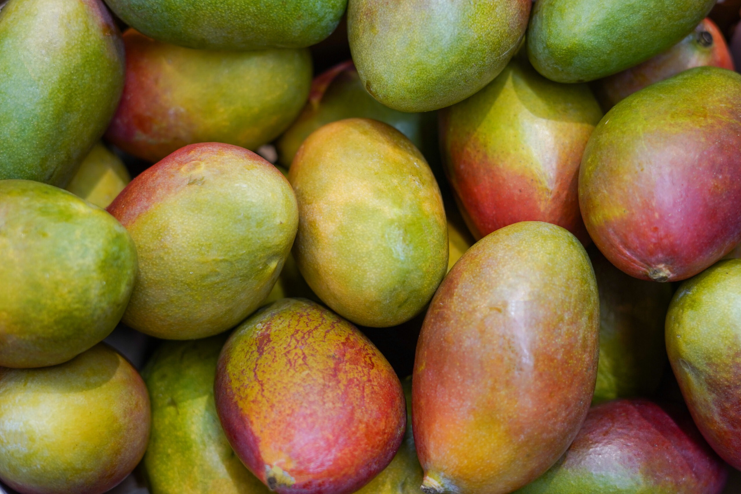 From Farm to Home: The Journey of Mangoes, Freshness, and Sustainability.